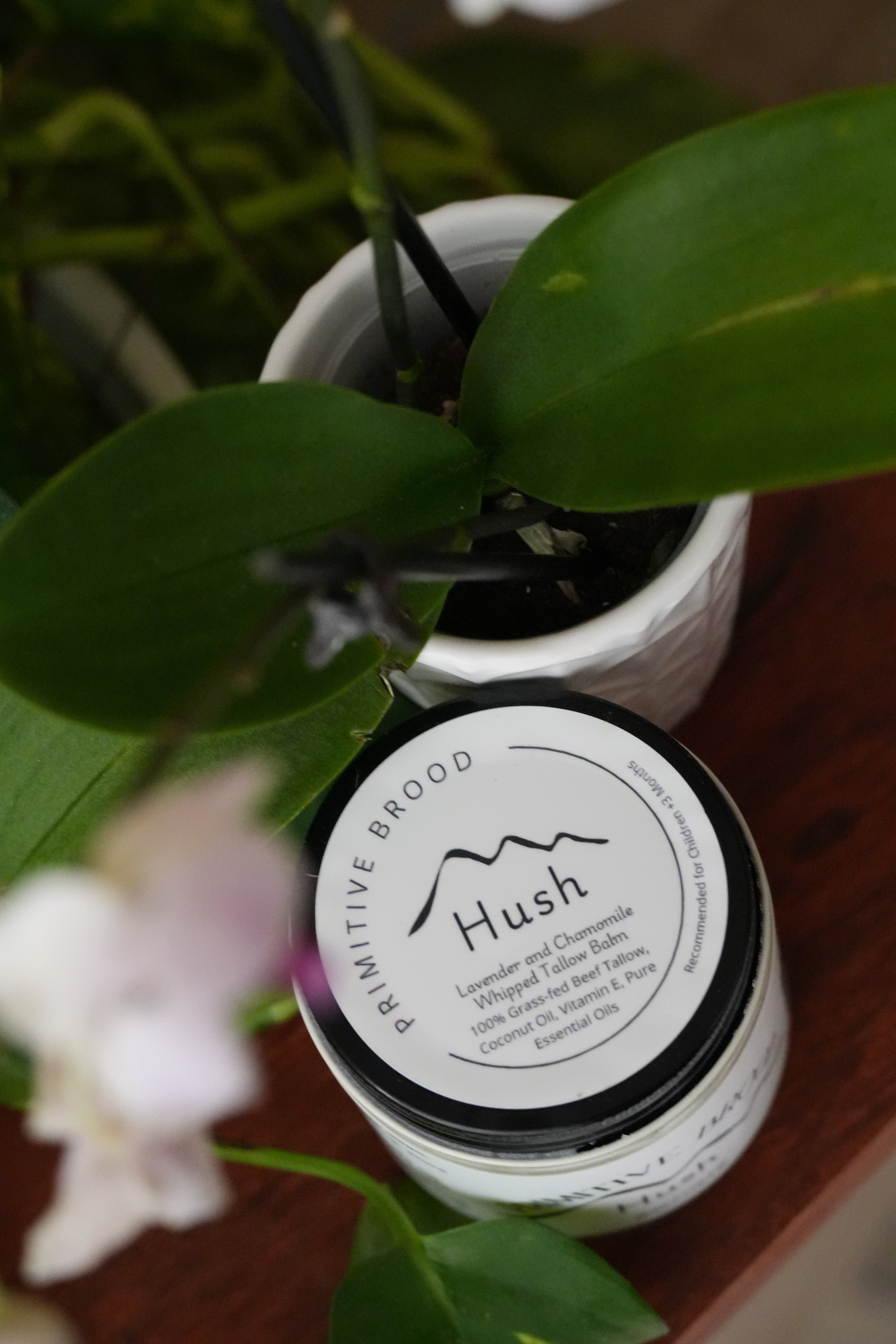 Primitive Brood, Hush Lavender and Chamomile Whipped Tallow Balm. 100% grass-fed Beef Tallow, coconut oil, vitamin E, pure essential oils.